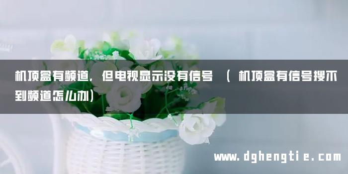 机顶盒有频道,但电视显示没有信号 (机顶盒有信号搜不到频道怎么办)